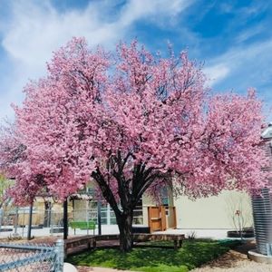 Meet your Posher, Carla